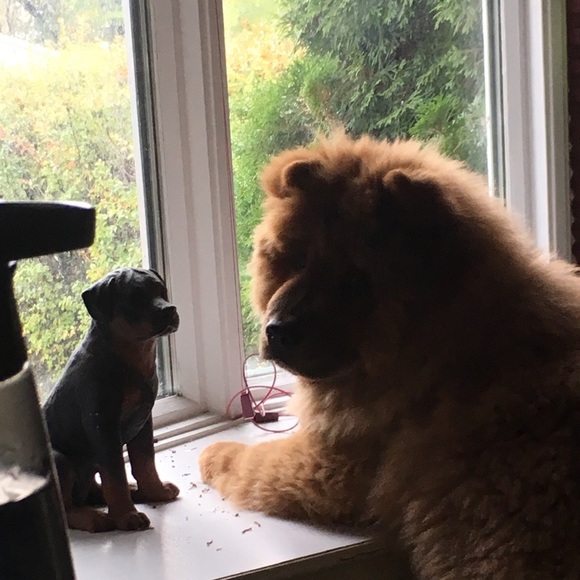 Meet your Posher, Terry-lyn - Picture 1 of 1